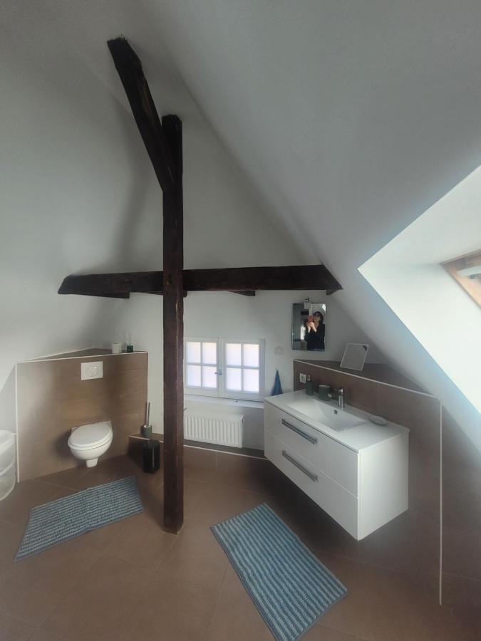 Studio 50M2 Au Bord De L'Eau A Estrasburgo Exterior foto
